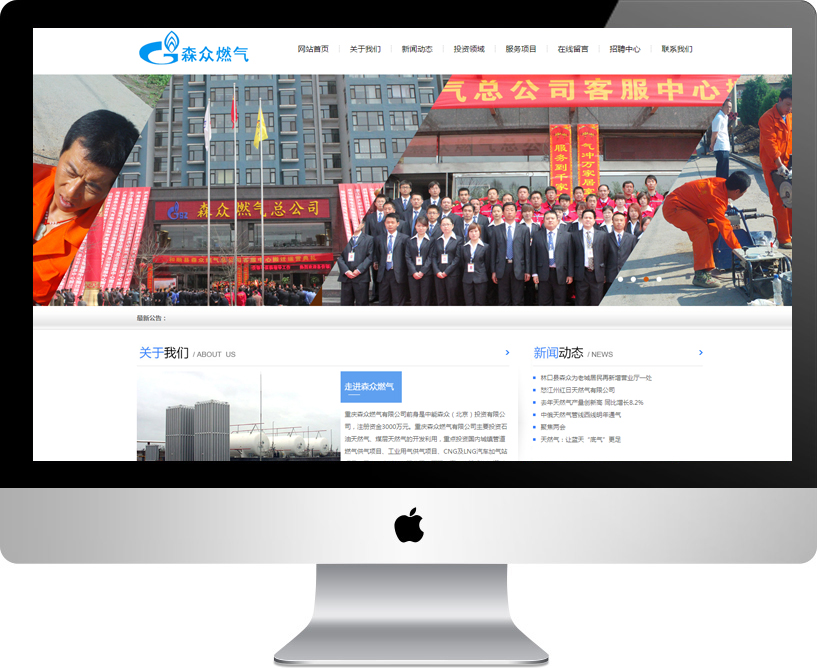 �ؑcɭ��ȼ�����޹�˾