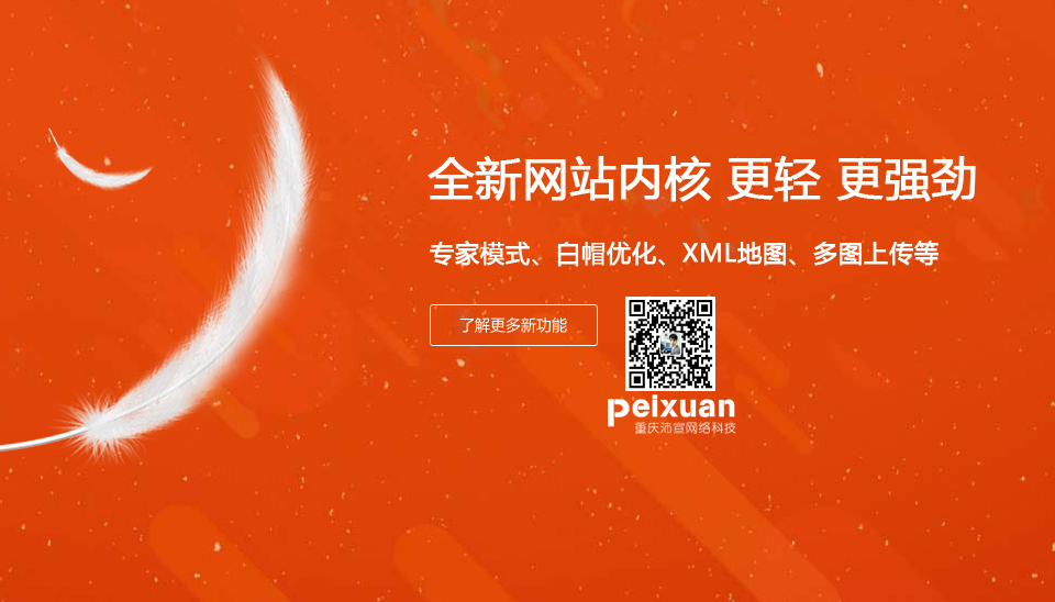 重慶楊家坪網站建設_楊家坪網站制作_效果好_收錄快