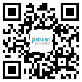 重慶沛宣網絡移動端網站