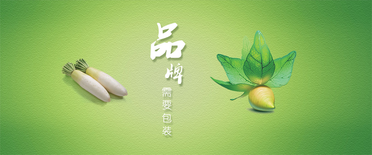 奉節網站建設_奉節企業網站建設怎么做_應該重在務實