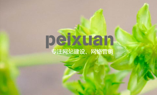 ���x�W(w��ng)վ���O(sh��)_�W(w��ng)�j(lu��)��׃δ��_�W(w��ng)վ�������]