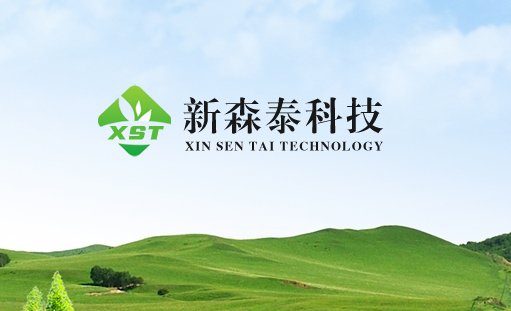 簽約重慶新森泰科技有限公司營銷型網站建設