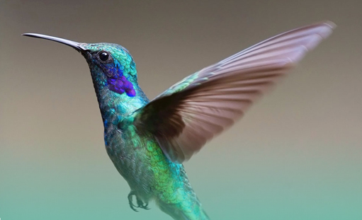 “高端人群”:中國互聯(lián)網(wǎng)的一大迷信