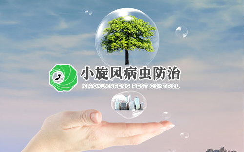 �ؑcС���L(f��ng)���x���������޹�˾