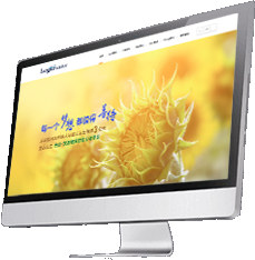 �ؑc��I�Wվ���O